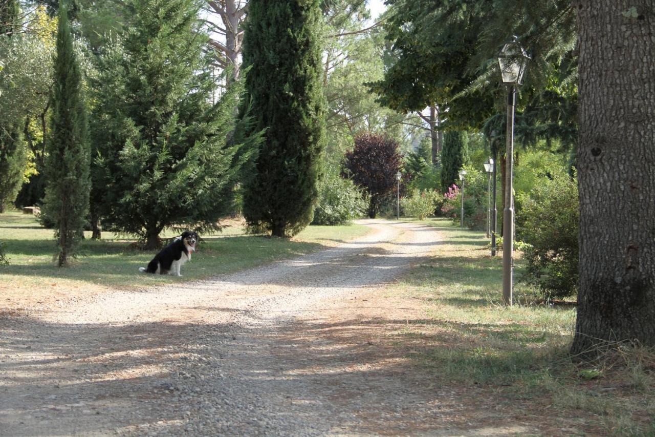 Villa Rigacci Hotel Reggello Extérieur photo